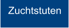 Zuchtstuten