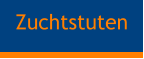 Zuchtstuten